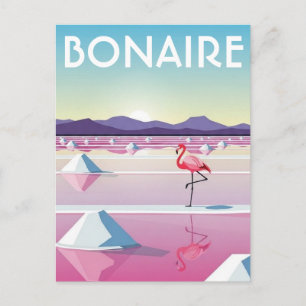 Carte Postale Flamants des Caraïbes néerlandaises à Bonaire