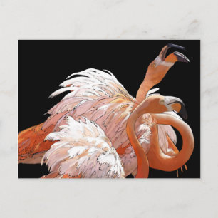 Carte Postale Flamants roses