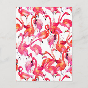 Carte Postale Flamants roses Aquarelle En Aquarelles 2
