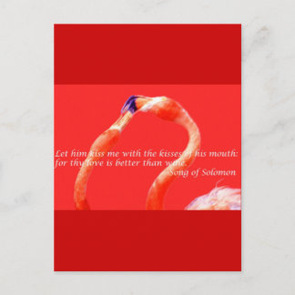 Carte Postale Flamants roses de baiser