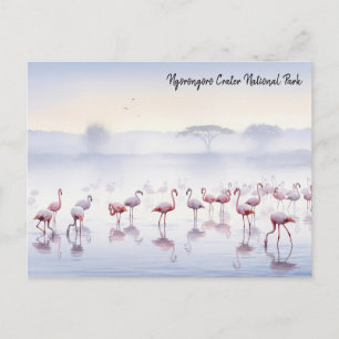 Carte Postale Flamants roses de la Tanzanie de Ngorongoro
