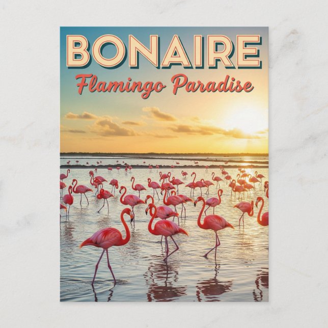 Carte Postale Flamants roses en Bonaire Pays-Bas Caraïbes (Devant)