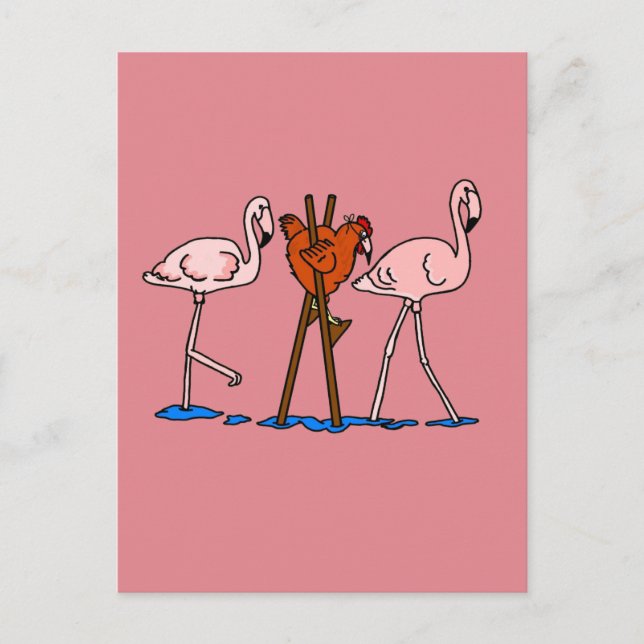 Carte Postale Flamants roses Et Poulet Avec Arrière - plan Rose (Devant)