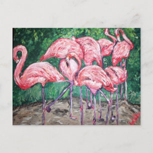 Carte Postale "Flamants roses flamboyants"