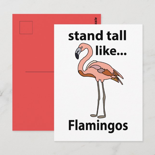 Carte Postale Flamants roses Hauts Comme Flamants roses Flamant  (Devant / Derrière)
