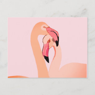Carte postale Flamants roses roses
