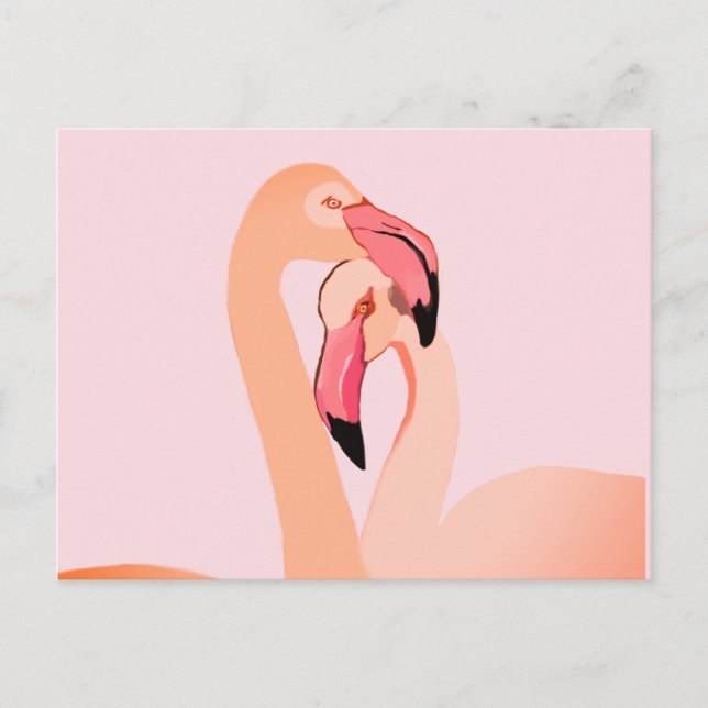 Carte postale Flamants roses roses (Devant)