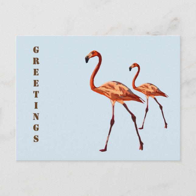 Carte postale Flamants roses roses (Devant)