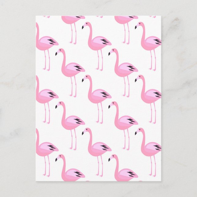 Carte Postale Flamants roses roses 2 2 (Devant)