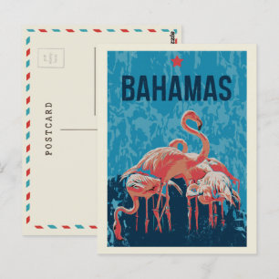Carte postale Flamants roses roses des Caraïbes Ba