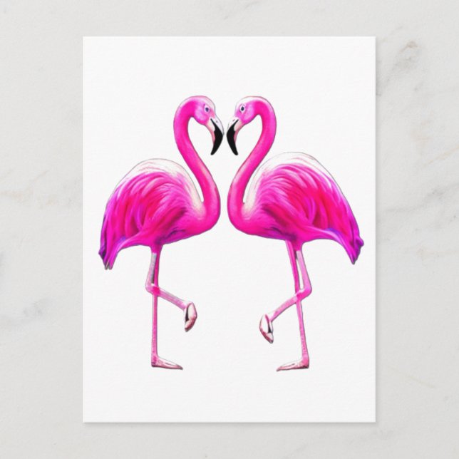 Carte Postale Flamants roses roses en amour (Devant)