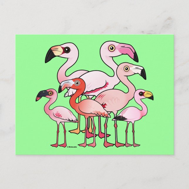 Carte Postale Flamboyance (Devant)