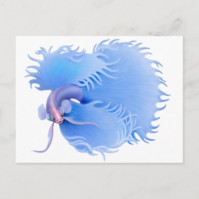 Carte postale Flaring Betta Splendens (Devant)