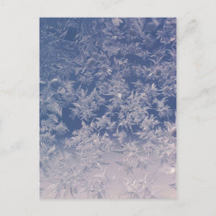 Carte Postale Flèches de neige