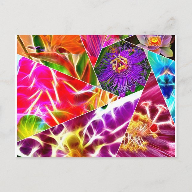 Carte Postale Fleur (Devant)