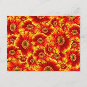 Carte Postale Fleur