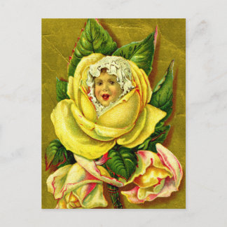 Carte Postale Fleur