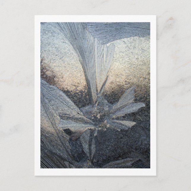 Carte Postale fleur (Devant)