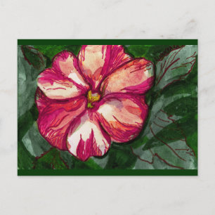 Carte Postale Fleur Balsam rose