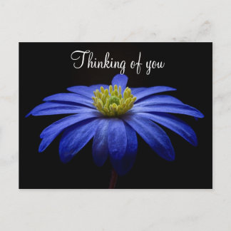 Carte postale Fleur Bleue