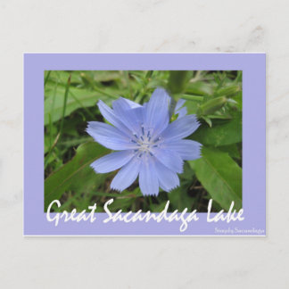 Carte Postale Fleur bleue