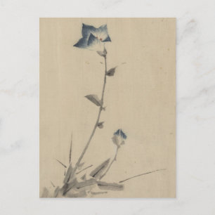 Carte Postale Fleur bleue en fleurs et bourgeon au bout d'une ti