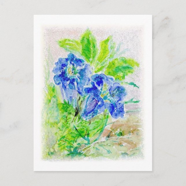 Carte Postale Fleur bleue Illustration (Devant)