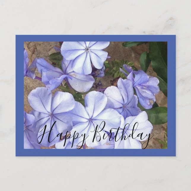 Carte Postale Fleur bleue manuscrite (Devant)