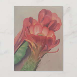 Carte postale Fleur Cactus