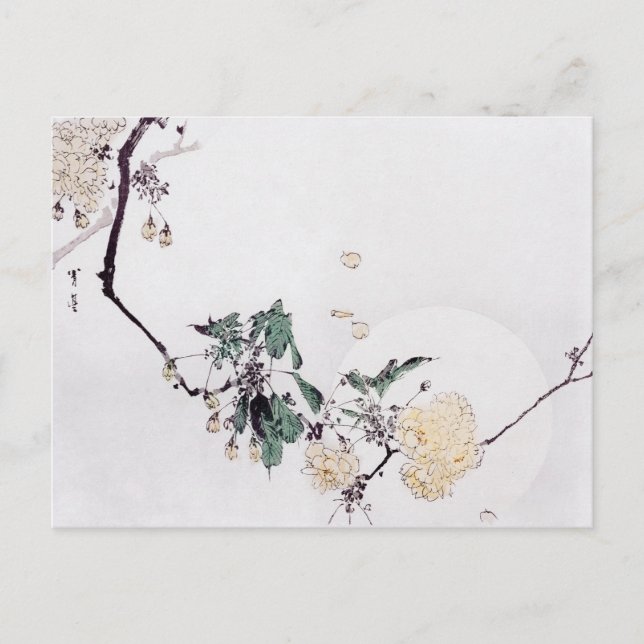 Carte Postale Fleur cerise et Pleine lune, Watanabe Seitei (Devant)