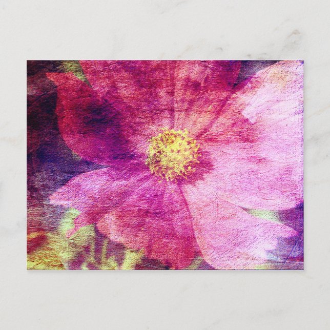Carte Postale Fleur Cosmo (Devant)