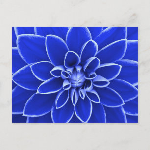 Carte Postale Fleur dahlia bleue