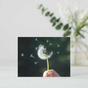 Carte Postale Fleur Dandelion