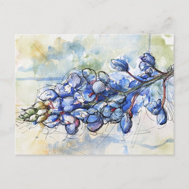 Carte Postale Fleur d'aquarelle du Texas Bluebonnet (Devant)
