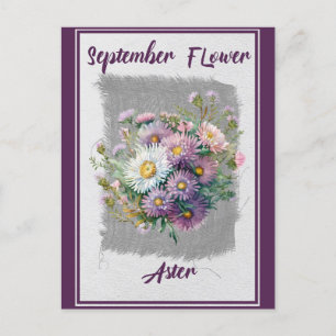 Carte Postale Fleur d'aster florale vintage de septembre