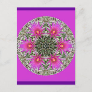 Carte Postale Fleur de cactus roses