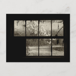 Carte Postale Fleur de cerisier à travers une vieille fenêtre de
