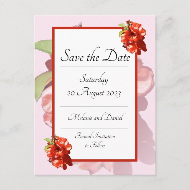 Carte Postale Fleur de coing rouge et rose Enregistrer la date (Devant)