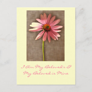 Carte Postale Fleur de cône rose - Je suis My Beloved's et My Be