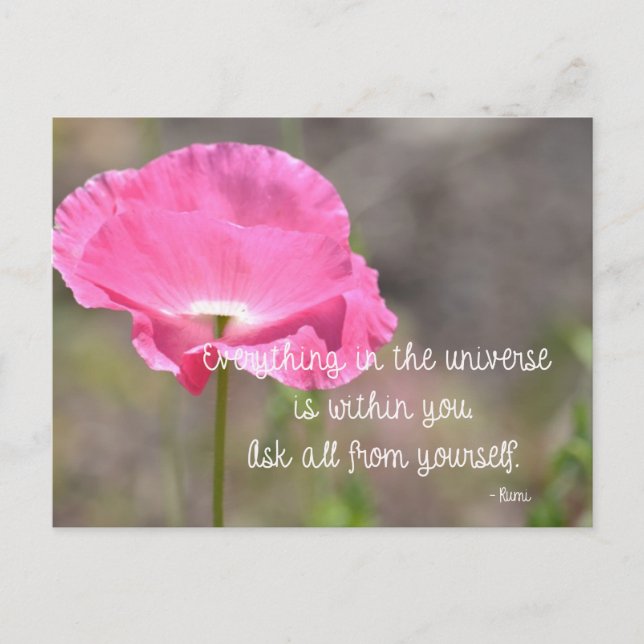 Carte Postale Fleur de crapaud rose d'Islande (Devant)