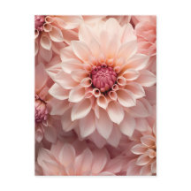 fleur de dahlia de couleur pastel doux