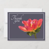 Fleur de Dahlia Rouge Fond Gris Merci