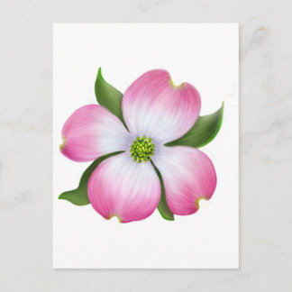 Carte Postale Fleur de Dogwood rose