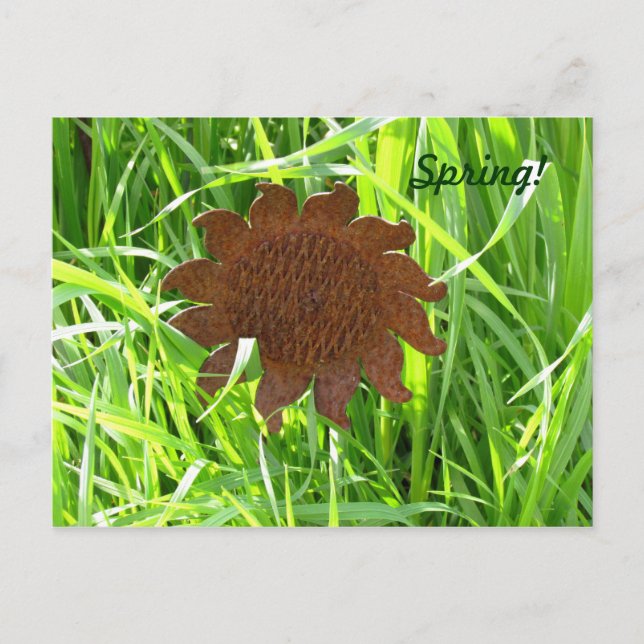 Carte postale - Fleur de fer dans l'herbe (Devant)