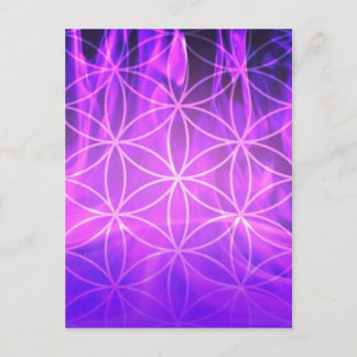Carte Postale Fleur de flamme violette de la vie