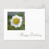 fleur de fraise blanche heureux