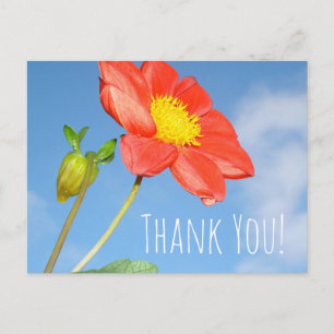 Carte Postale Fleur de fraisier Merci