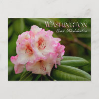 Fleur de l'État de Washington : Côte Rhododendron