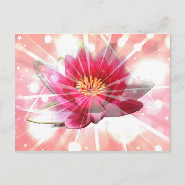Carte Postale fleur de lotus rose (Devant)