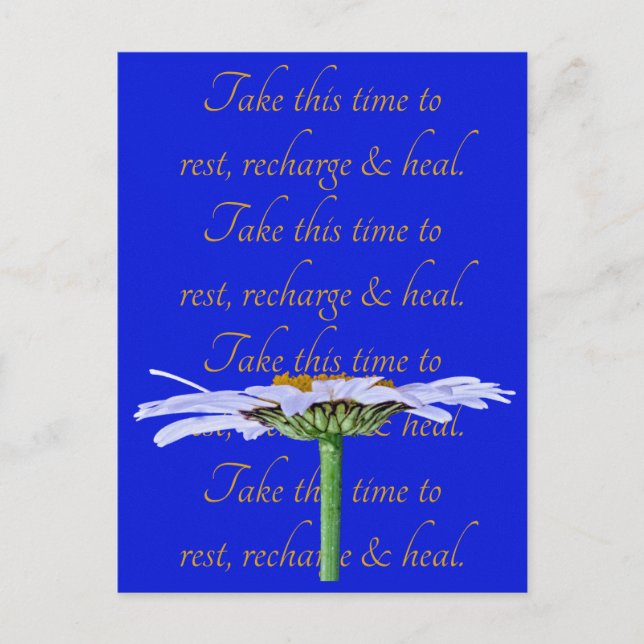 Carte Postale Fleur de Marguerite blanche sur toile bleue Le tem (Devant)